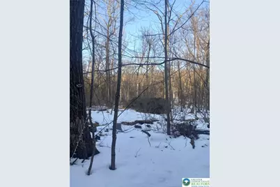 81 Bear Cub Path, Pocono Twp, PA 18355 - Photo 2