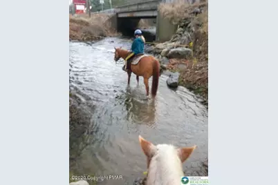 109 St Regis Walk, Tobyhanna, PA 18466 - Photo 40