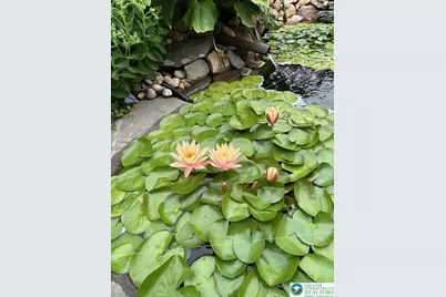 2725 Appian Way, Forks Twp, PA 18040 - Photo 42