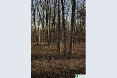 940 Oldstage Road, Penn Forrest, PA 18210 - Photo 4