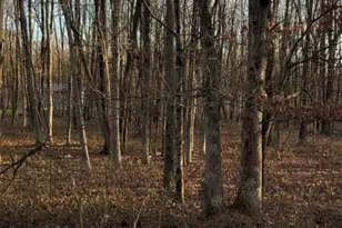 940 Oldstage Rd, Penn Forrest, PA 18210 - Photo 4