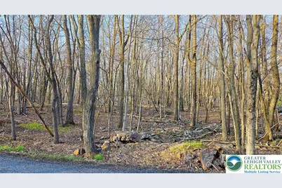 Shawnee Trail & Highpoint Drive, Penn Forrest, PA 18210 - Photo 4