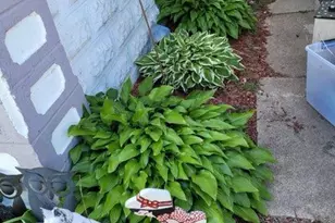 215 Lehigh Ave, Palmerton Boro, PA 18071 - Photo 6