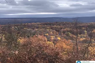 1216 Dorset Dr, Bushkill, PA 18324 - Photo 1