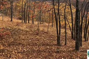 1216 Dorset Dr, Bushkill, PA 18324 - Photo 2