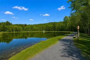 1007 Hampstead Rd, Lehman Twp, PA 18324 - Photo 68