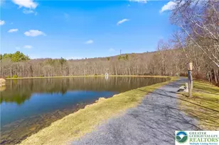 1007 Hampstead Rd, Lehman Twp, PA 18324 - Photo 70