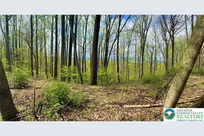 4825 S Mountain Drive, Upper Milford Township, PA 18049 - Photo 2