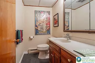 270 Bierys Bridge Rd, Bethlehem City, PA 18017 - Photo 52