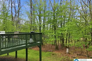 149 McMichaels Ct, Chestnuthill Twp, PA 18360 - Photo 60