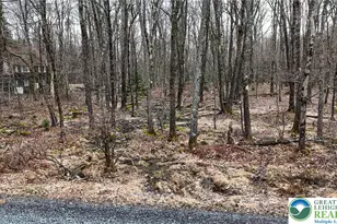 1011 Beaver Run Rd, Pocono Lake, PA 18347 - Photo 6