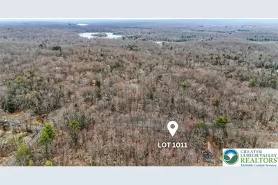 1011 Beaver Run Road, Pocono Lake, PA 18347 - Photo 1