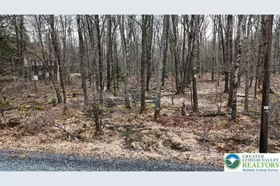 1011 Beaver Run Road, Pocono Lake, PA 18347 - Photo 6