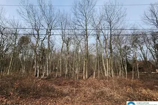 419 Panther Run Rd, Penn Forrest, PA 18229 - Photo 1