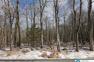 1724 E Old Stage Rd, Penn Forrest, PA 18210 - Photo 1