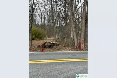 Center Street, Plainfield Township, PA 18091 - Photo 2