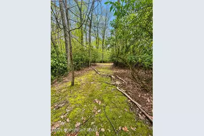 4120 Greenwood Drive, Polk Twp, PA 18058 - Photo 16