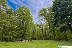 1040 Constitution Ave, Plainfield Township, PA 18072 - Photo 66