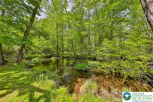 331 Cranberry Creek Rd, Paradise Twp, PA 18326 - Photo 78