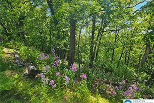 1200 Paxinosa Rd E, Forks, PA 18040 - Photo 32