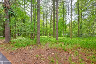 60 Sassafras Rd, East Penn Twp, PA 18235 - Photo 44