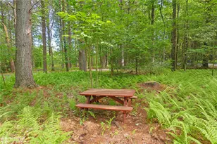 60 Sassafras Rd, East Penn Twp, PA 18235 - Photo 46