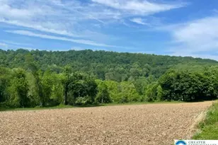 5093 Vera Cruz Rd, Emmaus Boro, PA 18049 - Photo 46