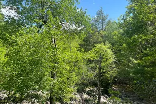 15 Chalet Ct, Kidder Twp, PA 18624 - Photo 34