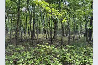 Lot 249-Maple Lane, Jim Thorpe, PA 18229 - Photo 1