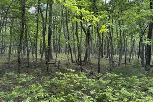 Lot 249-Maple Ln, Jim Thorpe, PA 18229 - Photo 1