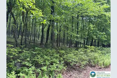 Lot 250-Maple Lane, Jim Thorpe, PA 18229 - Photo 2