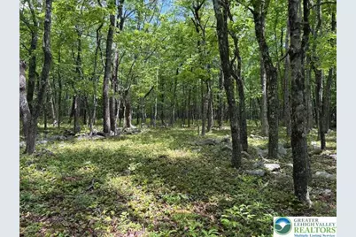 Lot 250-Maple Lane, Jim Thorpe, PA 18229 - Photo 1
