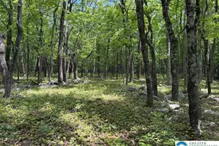 Lot 250-Maple Ln, Jim Thorpe, PA 18229 - Photo 1