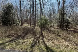 556 Drakes Dr, Jim Thorpe, PA 18229 - Photo 1