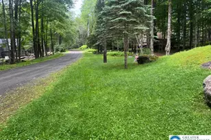 137 Outer Dr, Coolbaugh Twp, PA 18347 - Photo 48