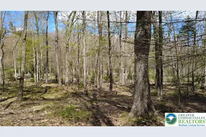 163 Owassa Drive, Tobyhanna Twp, PA 18347 - Photo 6