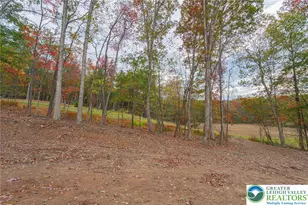 Woods Crossing, Chestnuthill Twp, PA 18322 - Photo 10
