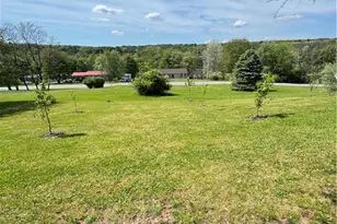 106 Butternut St, Eldred Twp, PA 18058 - Photo 32