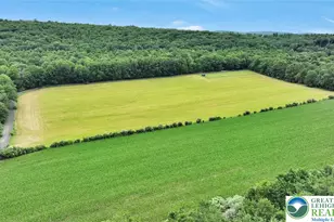 376 H.T.Y. Rd, Polk Twp, PA 18058 - Photo 10