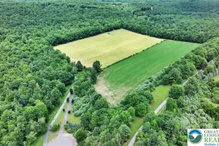 376 H.T.Y. Rd, Polk Twp, PA 18058 - Photo 6