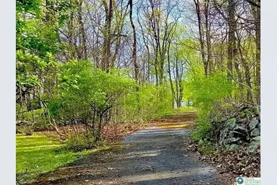 4825 Mountain Drive, Upper Milford Township, PA 18049 - Photo 2