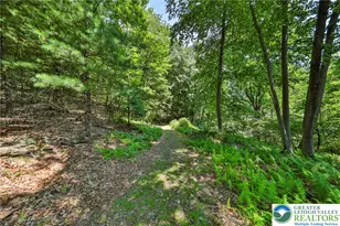 169 Dogwood Ln, Ross Twp, PA 18353 - Photo 48