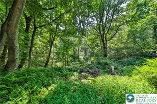 169 Dogwood Ln, Ross Twp, PA 18353 - Photo 44