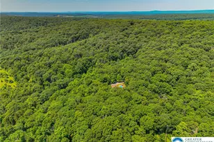 169 Dogwood Ln, Ross Twp, PA 18353 - Photo 46