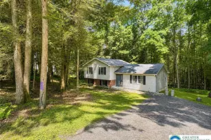 1111 Red Fox Ct, Polk Twp, PA 18333 - Photo 2