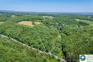 210 Snyder's Rd, Towamensing Twp, PA 18071 - Photo 6