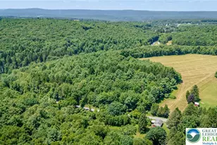 210 Snyder's Rd, Towamensing Twp, PA 18071 - Photo 54