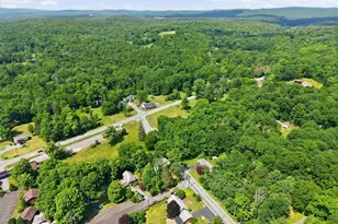 5894 Route 191, Paradise Twp, PA 18326 - Photo 76