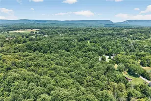 261 Schipps Ln, Upper Mt Bethel Twp, PA 18343 - Photo 6