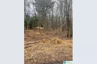 1019 Crazy Horse Trail, Penn Forrest, PA 18210 - Photo 2